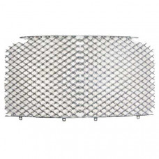 Grille (2005 on) (ps111939pb)
