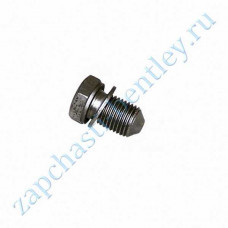 Drain plug (engine sump) (n90813202)
