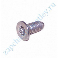 Screw brake Disc wheel (front and rear) (n10648301)