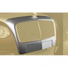 Front grill for mask B-sculpture primed (505102342) on Bentley Continental