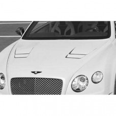 NEW engine bonnet, primed (505110012) on Bentley Continental